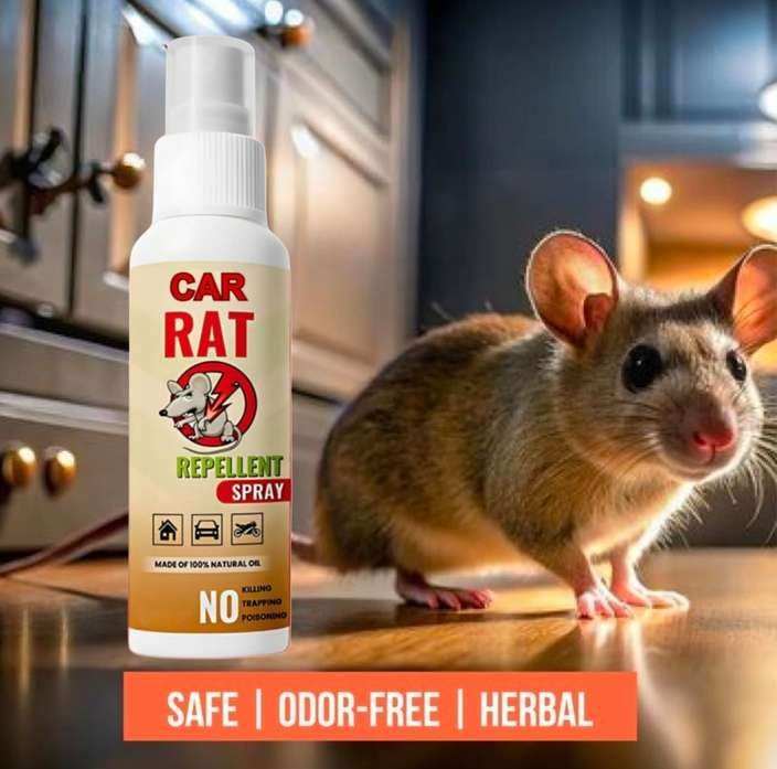 Rat Repellent Spray - Buy 1 Get 2 Free 😍