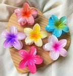 POOKIE Flower Hair Claw Clips – Pack of 2 (Random Colours)