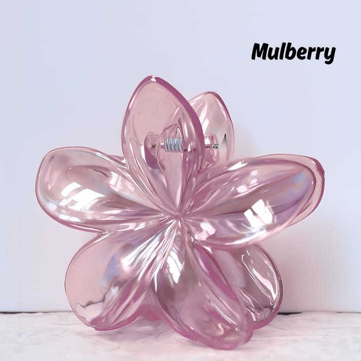 Transparent Flower Claw Clips – Pack of 2 (Random Colours)