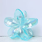 Transparent Flower Claw Clips – Pack of 2 (Random Colours)